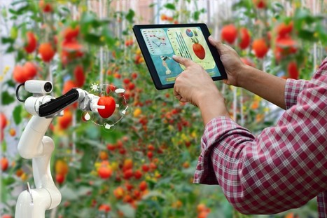 UNDP and FAO hold first virtual dialogue on youth digital innovation solutions for food and agriculture | FRUITS ET LÉGUMES | Scoop.it