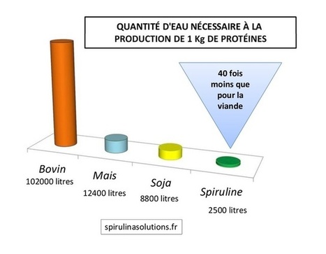 L'avenir des légumineuses dans l'alimentation h... | Protéines végétales | Scoop.it