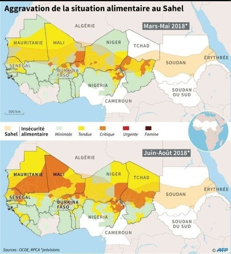 Au Sahel, sécheresse et jihad créent une "crise pastorale" explosive | Questions de développement ... | Scoop.it