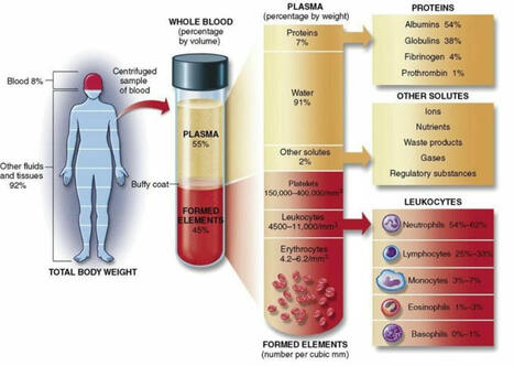 Able Kisakye on LinkedIn: Ever wondered what is found in plasma! Well here you go, Thats the… | 16 comments | Laboratory Medicine | Scoop.it