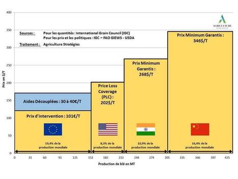 Ajust&eacute;s &agrave; la baisse, les prix du bl&eacute; en Chine restent parmi les plus &eacute;lev&eacute;s au monde | ASIES | Scoop.it