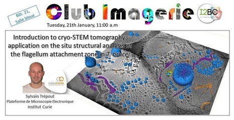 Deuxi&egrave;me session du Club Imagerie - 21 janvier 2020 | Life Sciences Universit&eacute; Paris-Saclay | Scoop.it