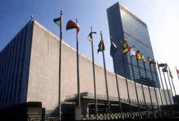 UN considers recognizing sexual rights for ten-year-old children | Herstory | Scoop.it