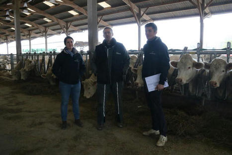 &laquo;&nbsp;Un collier qui d&eacute;tecte chaleurs et v&ecirc;lages pour chacune de nos vaches&nbsp;&raquo; - R&eacute;ussir | Pour innover en agriculture | Scoop.it