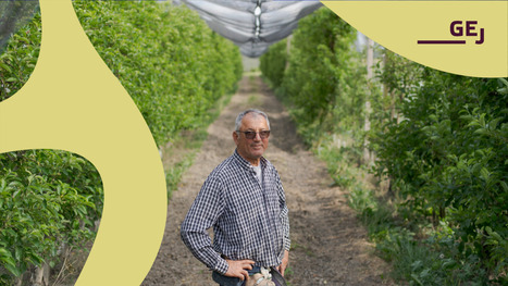 “A Land of Conquest”: The Solar Rush Hits Italy’s Breadbasket | Energy Transition in Europe | www.energy-cities.eu | Scoop.it