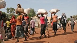 Food security alarm for east, central Africa | Food & Nutrition Security in East Africa | Scoop.it