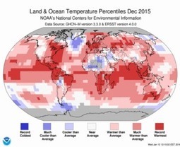 2015 is Earth's warmest year by widest margin on record December 2015 temperature record warm | Biodiversité | Scoop.it
