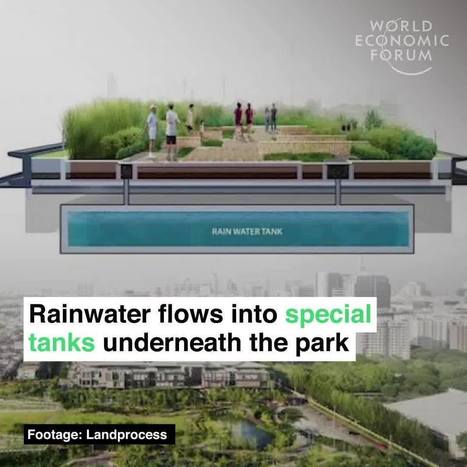 SBS News - Bangkok has built an innovative park for flood control | Stage 4 Water in the World | Scoop.it