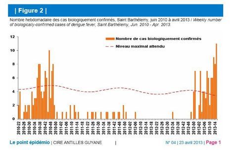 Épidémie de dengue à Saint-Barthélemy | EntomoNews | Scoop.it