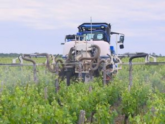 "C'est un cocktail d&eacute;vastateur pour la sant&eacute;" : la col&egrave;re de cette association de lutte apr&egrave;s l'adoption de la loi d'urgence agricole | Actus du jour - 24 juillet 2026 | Scoop.it