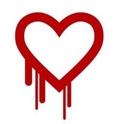 Heartbleed : faut-il changer ses mots de passe ? | Cybersécurité - Innovations digitales et numériques | Scoop.it