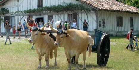 Écomusée de Marquèze à Sabres (40) : réouverture ce week-end | Landes | Scoop.it