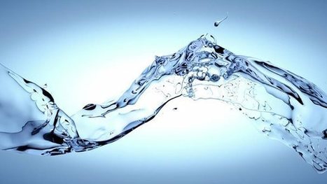 The journey to an agile organization | McKinsey | [Wudo] Corporate Transformation | Scoop.it