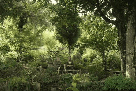 INSOLITE. 1200 vari&eacute;t&eacute;s diff&eacute;rentes, dont des plantes rares, ce jardin de plus de 3000 m&sup2; est devenu un petit paradis terrestre | Nouveaut&eacute;s - Offre touristique Alsace | Scoop.it