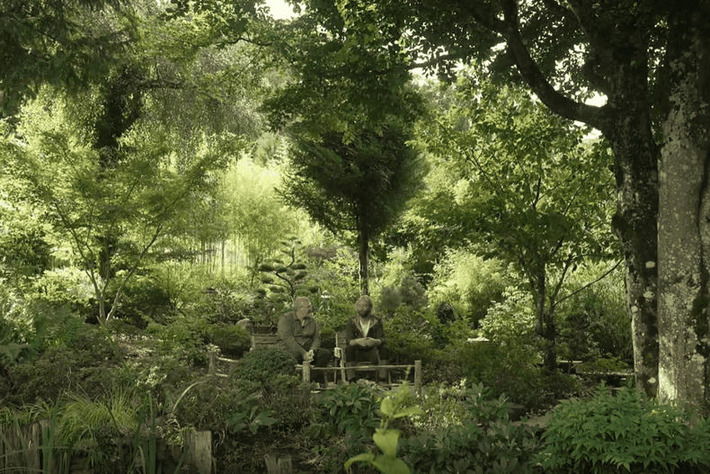 INSOLITE. 1200 vari&eacute;t&eacute;s diff&eacute;rentes, dont des plantes rares, ce jardin de plus de 3000 m&sup2; est devenu un petit paradis terrestre | Nouveaut&eacute;s - Offre touristique Alsace | Scoop.it