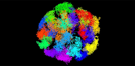 Visualising the genome: researchers create first 3D structures of active DNA | Bioscience News - GEG Tech top picks | Scoop.it