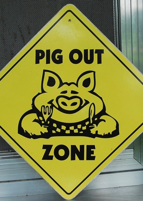 Express&otilde;es Idiom&aacute;ticas com animais em Ingl&ecirc;s | APOIO AO ESTUDO | Scoop.it