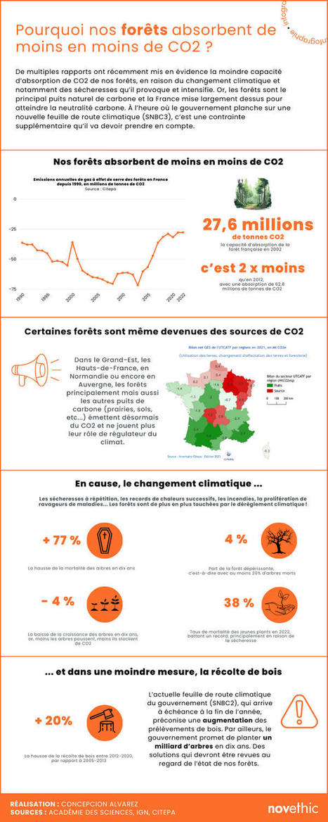 Infographie : Nos forêts absorbent de moins en moins de CO2 et pourraient devenir un obstacle à la neutralité carbone | Novethic | La SELECTION du Web | CAUE des Vosges - www.caue88.com | Scoop.it