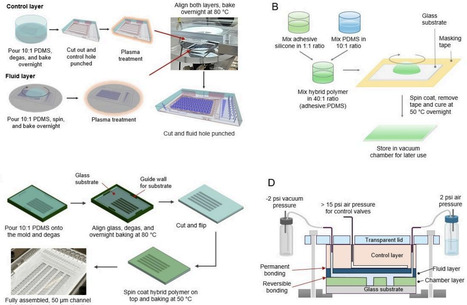 Rapid and reusable high-throughput microfluidics through modular assembly | brvt | RMH | Scoop.it