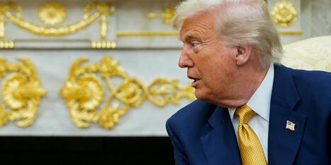 Avowed Trump ally warns Epstein may 'consume' presidency as MAGA 'rupture' grows - Raw Story | Operation Phobos | Scoop.it