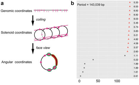 Scientific Reports: From multiple pathogenicity islands to a unique organized pathogenicity archipelago (2016) | Plant Pathogenomics | Scoop.it