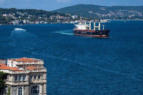 Black Sea war quadruples shipping insurance, leaving traders in a bind | MED-Amin network | Scoop.it