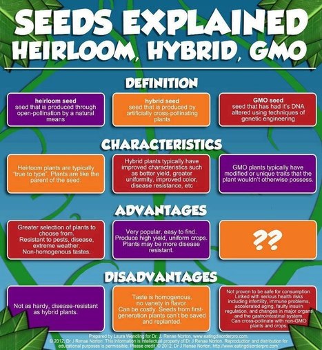 Here's a quick explanation of differences between seeds - heirloom, hybrid or GMO. | Eco-Friendly Lifestyle | Scoop.it