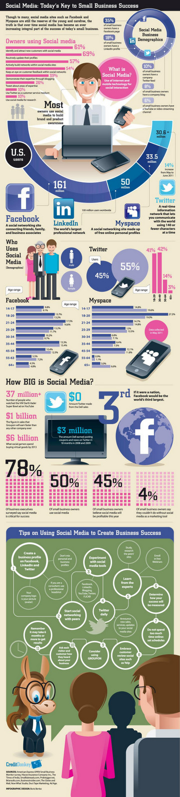 Social Media Business Demographics - Seo Sandwitch Blog [Infographic] | A New Society, a new education! | Scoop.it