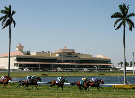 Florida House Committee Passes Decoupling Bill | Racing Regulatory Issues | Scoop.it