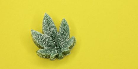 CBD Edibles | Should You Be Eating Your CBD? | The Psychogenyx News Feed | Scoop.it