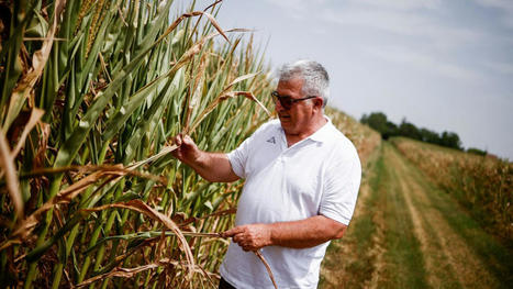 La sécheresse historique met à genoux l'agriculture italienne | Biodiversité | Scoop.it