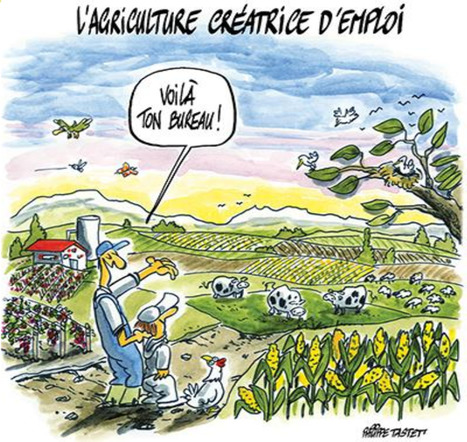 Le salariat dans des exploitations bovins lait auvergnates | Lait de Normandie... et d'ailleurs | Scoop.it