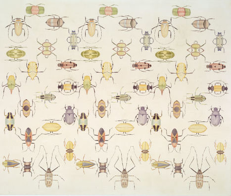 Les insectes dans l'art contemporain : onze artistes exposent &agrave; New York [en anglais] | Vari&eacute;t&eacute;s entomologiques | Scoop.it