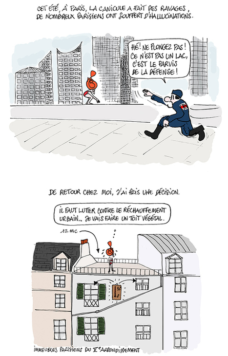 Donnez-moi un toit vert et je vous rafraîchirai Paris! | Les Colocs du jardin | Scoop.it