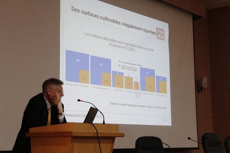 Retour sur la conférence de Bernard Bachelier sur la sécurité alimentaire mondiale - Institut Français de Tunisie | Agriculture et Alimentation Durable Méditerranéenne | Scoop.it