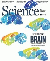 Aging immunity may exacerbate COVID-19 | Science | Immunology | Scoop.it