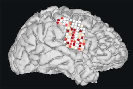 Synthetic Speech Generated from Brain Recordings | Amazing Science | Scoop.it