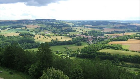 L’agence de programme nationale Agriculture et alimentation durables, forêt, et ressources naturelles associées - INRAE | Biodiversité | Scoop.it