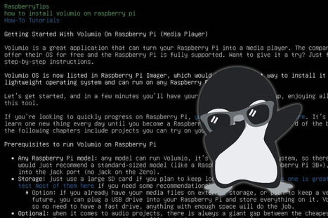 3 Best Ways to Access a Website in a Linux Terminal  | tecno4 | Scoop.it