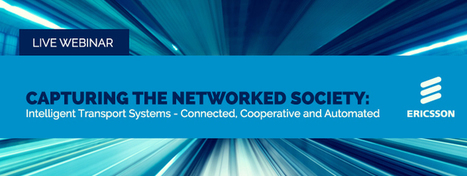 Capturing the Networked Society: | Peer2Politics | Scoop.it