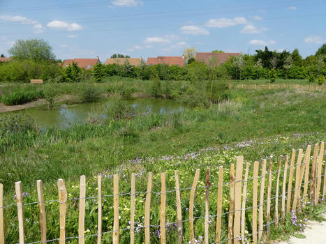 Petit patrimoine naturel - la région vous aide | Environnement, paysage et biodiversité | Scoop.it