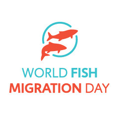 Journée mondiale des poissons migrateurs- 21 avril 2018 | Biodiversité | Scoop.it