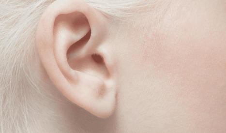 Une oreille humaine reproduite grâce à l'impression 3D | Buzz e-sante | Scoop.it