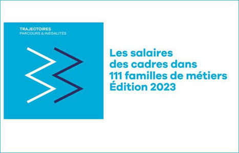 Les salaires des cadres dans 111 familles de métiers - Édition 2023 | Actu insertion pro - SOIE Lyon 1 (conseils, marché de l'emploi, évolutions, ...) | Scoop.it
