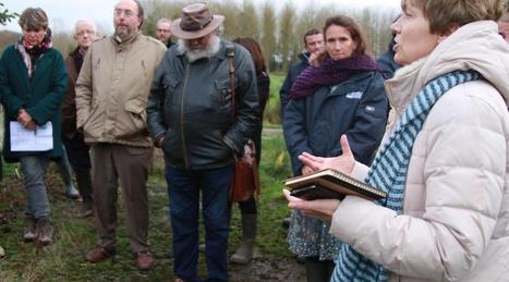 L'Agence de l'eau finance la biodiversité dans les marais de la Dives | Biodiversité | Scoop.it