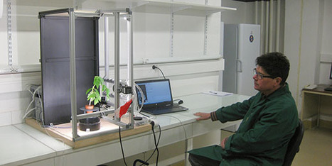 Une application in&eacute;dite dans le domaine du ph&eacute;notypage des plantes | Life Sciences Universit&eacute; Paris-Saclay | Scoop.it