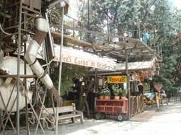 The core ingredients behind Andres Carne De Res unique customer experience | Blue Ocean Strategy | Scoop.it