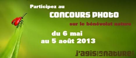 Concours photos "J'agis pour la Nature" | Variétés entomologiques | Scoop.it
