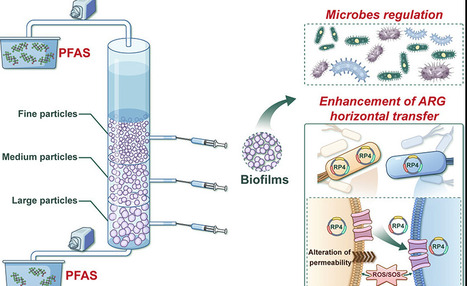 PFAS Stress on Functional Expression of Periphyton Communities and Trade-off Strategies for Horizontal/Vertical Transfer of Resistance Genes | acs | RMH | Scoop.it