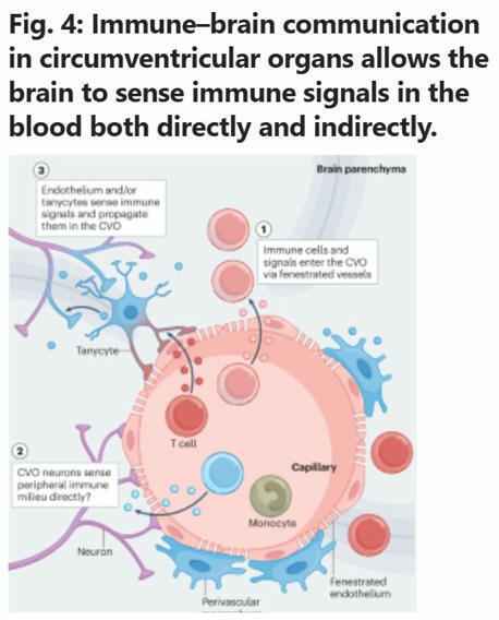 Andrés D. Klein on LinkedIn: #genetics #genomics #precisionmedicine #genomicmedicine #brain #neurology… | NeuroImmunology | Scoop.it